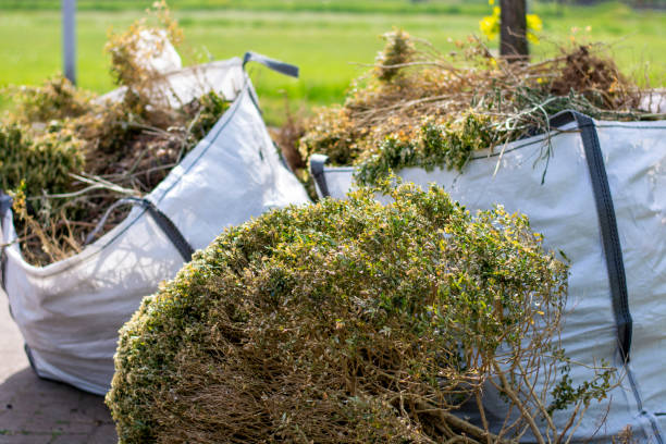 Best Local Junk Hauling  in Fox River Grove, IL